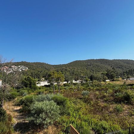 Villa Corse Favone Lagon Bleu Eksteriør billede